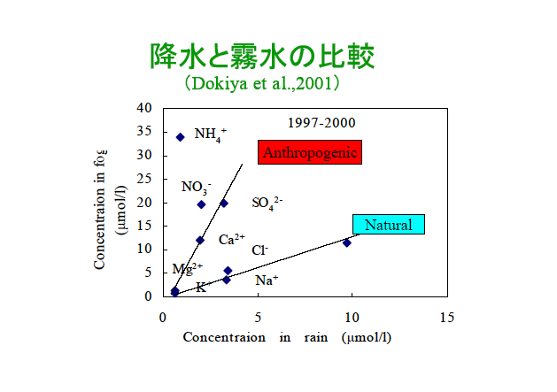 降水と霧水の比較（Dokiya et al.2001）
