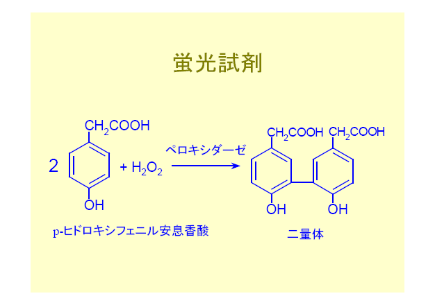 蛍光試剤：ペロキシターゼ、ｐ−ヒドロキシフェニル安息香酸、二量体