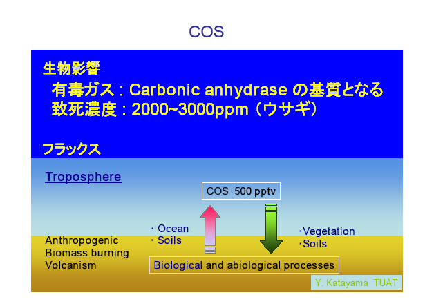 COS：生物影響：有毒ガスCarbonic anhydraseの基質となる：致死濃度２０００〜３０００PPM（ウサギ）：フラックス