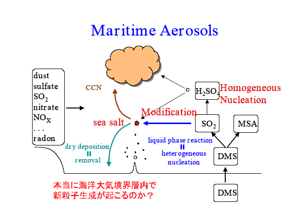 Maritime Aerosols＊＊＊dust・sulfate・SO2・nitrate・NOX・radon＊＊＊Homogeneous Nucleation・Modification・liquid phase reaction・dry deposition・removal＊＊＊本当に海洋大気境界層内で新粒子生成が起こるのか？